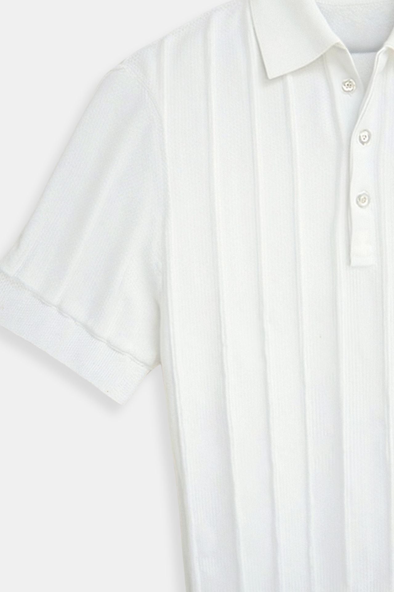 ertical Stripe Button-Up Polo