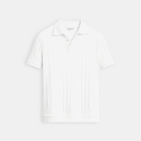 ertical Stripe Button-Up Polo